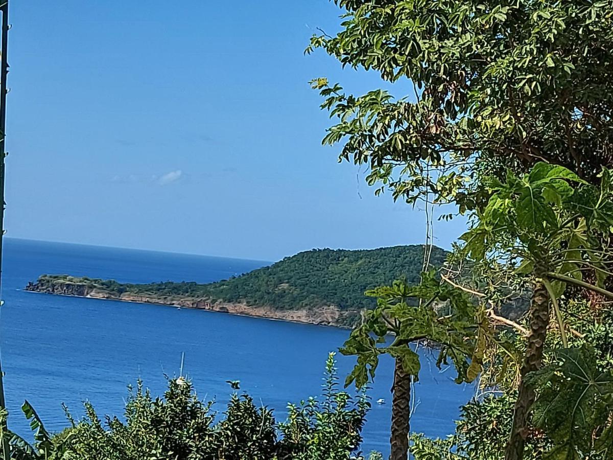 Le Dominad Bas De Villa 700M Du Bain Chaud Canalsat Gratuit Parking Prive Gratuit Wi Fi Gratuit Bouillante Bagian luar foto